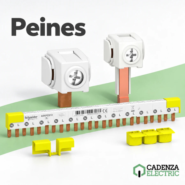 Peines de Schneider