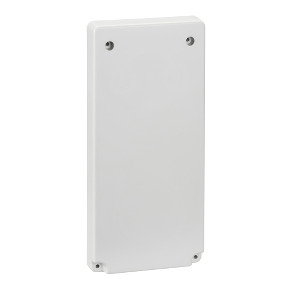 Accesorio Cofret - placa 103 x 225 mm - para salida de 65 x 65 o 75 x 75 mm ref. 13143 Schneider Electric [PLAZO 3-6 SEMANAS]