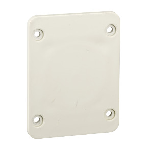 Accesorio Cofret - placa 65 x 85 mm - para salida de 50 x 50 mm ref. 13135 Schneider Electric [PLAZO 3-6 SEMANAS]