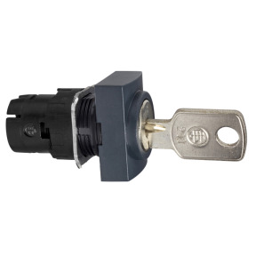 Cabeza selector rectangular llave 200 ø 16 2 posiciones fijas ref. ZB6DGB Schneider Electric [PLAZO 3-6 SEMANAS]