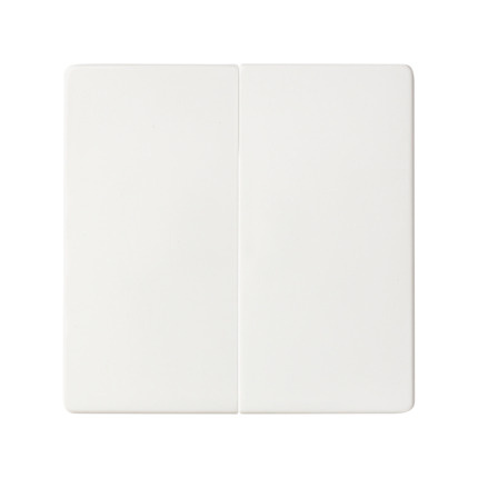 Comprar Doble Conmutador 10AX emb. rápido + teclas Simon ref. 8200397-090 al mejor precio | Cadenza Elecric