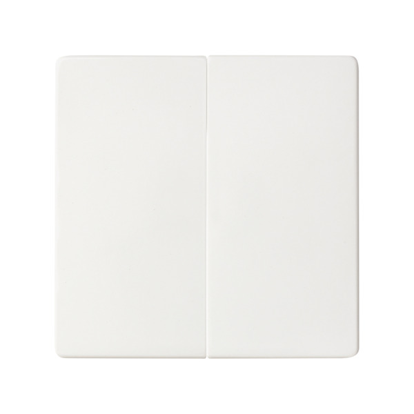 Doble Conmutador 10AX emb. rápido + teclas Simon ref. 8200397-090