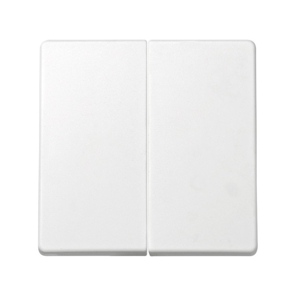 GRUPO 2 TECLAS (BLANCO) Simon ref. 73026-60