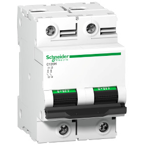 Magnetotermico C120N 100 A9N18414 Schneider Precio 60% Desc.