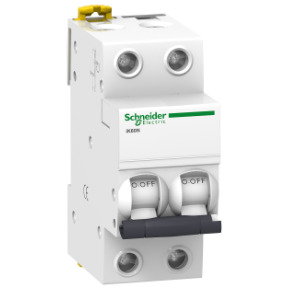 Interruptor automático magnetotérmico - iK60N - 2P - 1 A - curva C ref. A9K24201 Schneider Electric [PLAZO 3-6 SEMANAS]