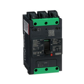 Interruptor automático PowerPact BD 18kA TM125D 3P Elink ref. BDL36125LU Schneider Electric [PLAZO 3-6 SEMANAS]