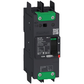 Interruptor automático PowerPact BD 18kA TM15D 2P tornillo ref. BDF26015 Schneider Electric [PLAZO 3-6 SEMANAS]