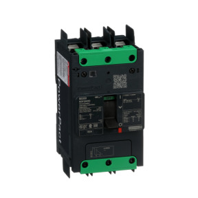 Interruptor automático PowerPact BD 18kA TM50D 3P tornillo ref. BDF36050 Schneider Electric [PLAZO 3-6 SEMANAS]