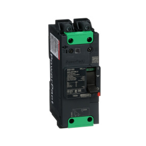 Interruptor automático PowerPact BG 35kA TM100D 2P Elink ref. BGL26100LU Schneider Electric [PLAZO 3-6 SEMANAS]