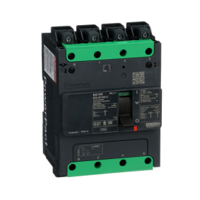 Interruptor automático BGL46100LU Schneider Precio 71% Desc.