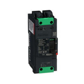 Interruptor automático PowerPact BG 35kA TM110D 2P Elink ref. BGL26110LU Schneider Electric [PLAZO 3-6 SEMANAS]