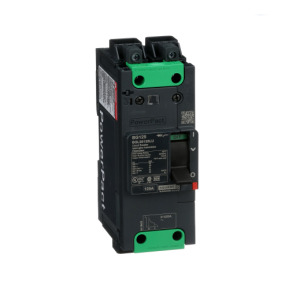 Interruptor automático PowerPact BG 35kA TM125D 2P Elink ref. BGL26125LU Schneider Electric [PLAZO 3-6 SEMANAS]