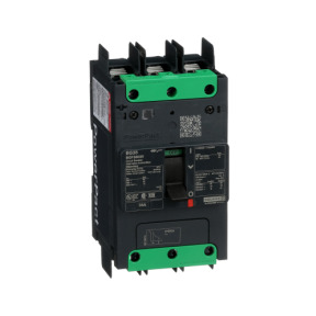 Interruptor automático PowerPact BG 35kA TM35D 3P tornillo ref. BGF36035 Schneider Electric [PLAZO 3-6 SEMANAS]