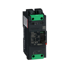 Interruptor automático PowerPact BG 35kA TM45D 2P Elink ref. BGL26045LU Schneider Electric [PLAZO 3-6 SEMANAS]