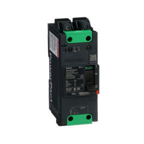 Interruptor automático PowerPact BG 35kA TM60D 2P Elink ref. BGL26060LU Schneider Electric [PLAZO 3-6 SEMANAS]