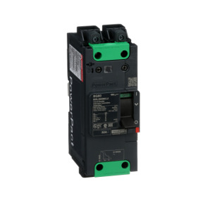 Interruptor automático PowerPact BG 35kA TM80D 2P Elink ref. BGL26080LU Schneider Electric [PLAZO 3-6 SEMANAS]