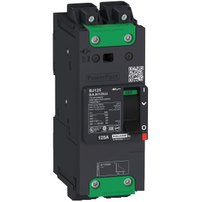 Interruptor automático PowerPact BJ 65kA TM100D 2P Elink ref. BJL26100LU Schneider Electric [PLAZO 3-6 SEMANAS]