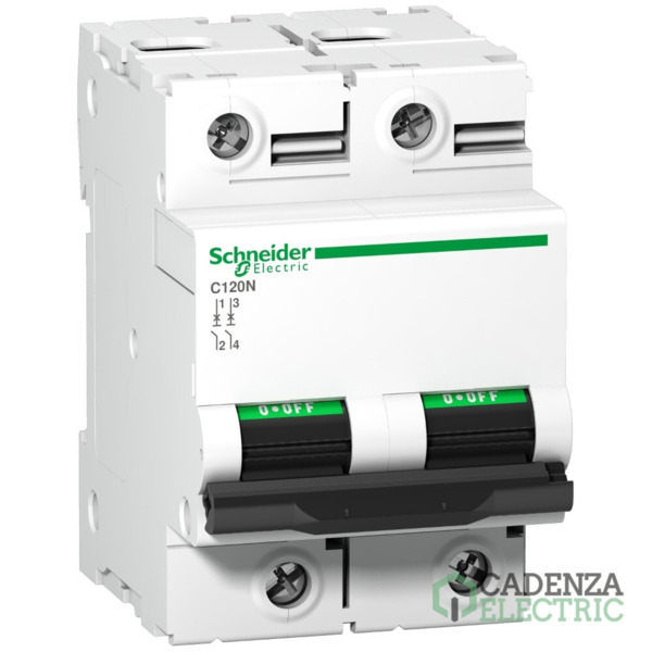 Magnetotérmico, Acti9 C120N, 2P, 100 A, C curva, 10000 A, 10 kA ref. A9N18362 Schneider Electric