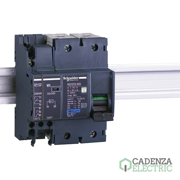 OF+SD NG125 ref. 19072 Schneider Electric