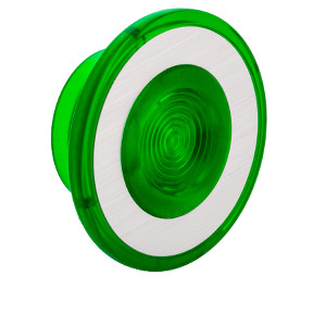 perilla verde Ø41 para pulsador luminoso seta Ø30 ref. 9001G22 Schneider Electric [PLAZO 3-6 SEMANAS]