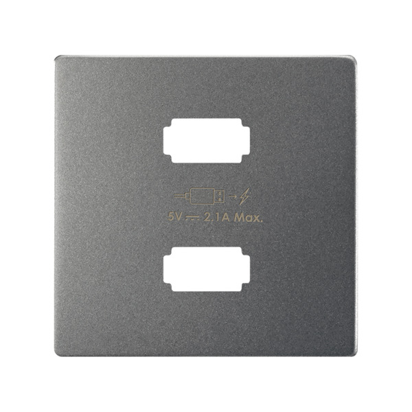 Placa cargador 2xUSB 5V 2.1A Simon ref. 8221096-096