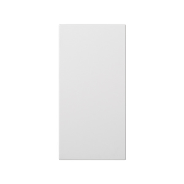 PLACA CIEGA DOBLE BLANCO Simon ref. 50000800-030