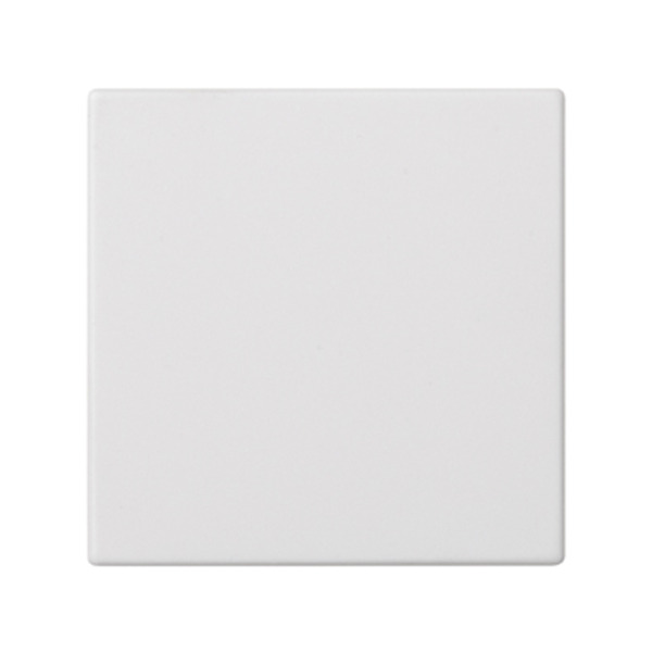 PLACA CIEGA INDIVIDUAL BLANCO Simon ref. 50010800-030