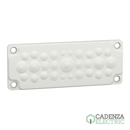 Compra Placa pasacable G IP55, 25 entradas ref. LVS08872 Schneider Electric al mejor precio | Cadenza Electric