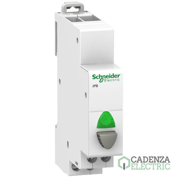 PULS IPB SIMPLE C/PIL 110-220V 1NA VERDE ref. A9E18036 Schneider Electric