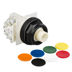 pulsador saliente en 7 colores para elegir Ø30 - 1NANC ref. 9001SKR2UH13 Schneider Electric [PLAZO 3-6 SEMANAS]