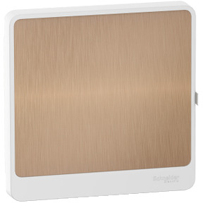 Puerta Bronce 1x1 | R9H13421L | Schneider | Precio 41% Desc.