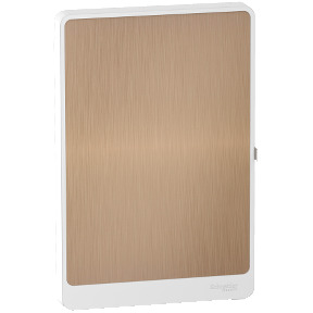 Puerta Bronce 2x1 | R9H18422L | Schneider | Precio 41% Desc.