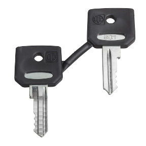 Set de 2 llaves 3131a ref. ZBG3131A Schneider Electric [PLAZO 3-6 SEMANAS]