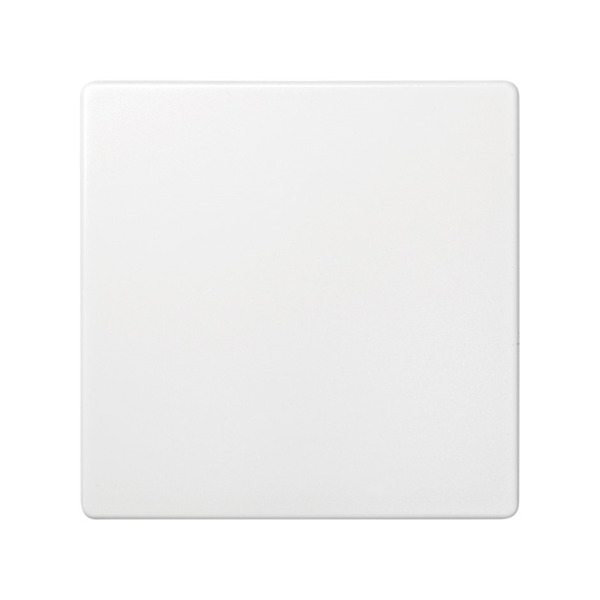 Tapa ciega Blanco Simon ref. 73800-60