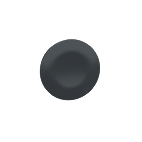 Tapa negra para cabeza múltiple rectangular ø22 - sin marcar ref. ZBA72 Schneider Electric [PLAZO 3-6 SEMANAS]