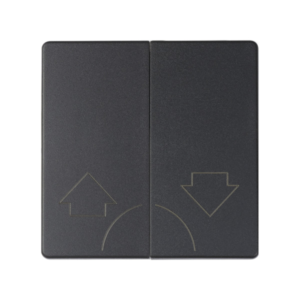 TECLA 2 PULSADORES PERSIANAS Simon ref. 82029-38