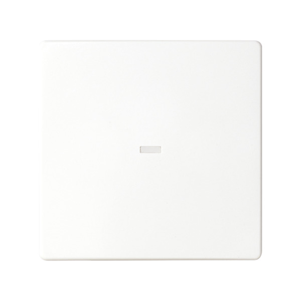 Tecla con Visor blanco Simon ref. 8200011-030