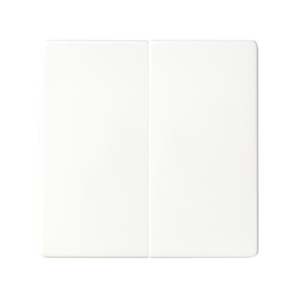 TECLA GRUPO 2 INTERRUP.CONMUT.Y PULSADOR. Simon ref. 82026-30