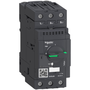 TeSys GV3 - Disyuntor magnético - 65 A - conectores EverLink BTR ref. GV3L65 Schneider Electric [PLAZO 3-6 SEMANAS]